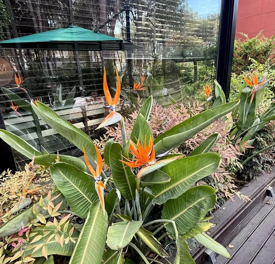 Deluxe Garden Apartment At Marea Resort Golem